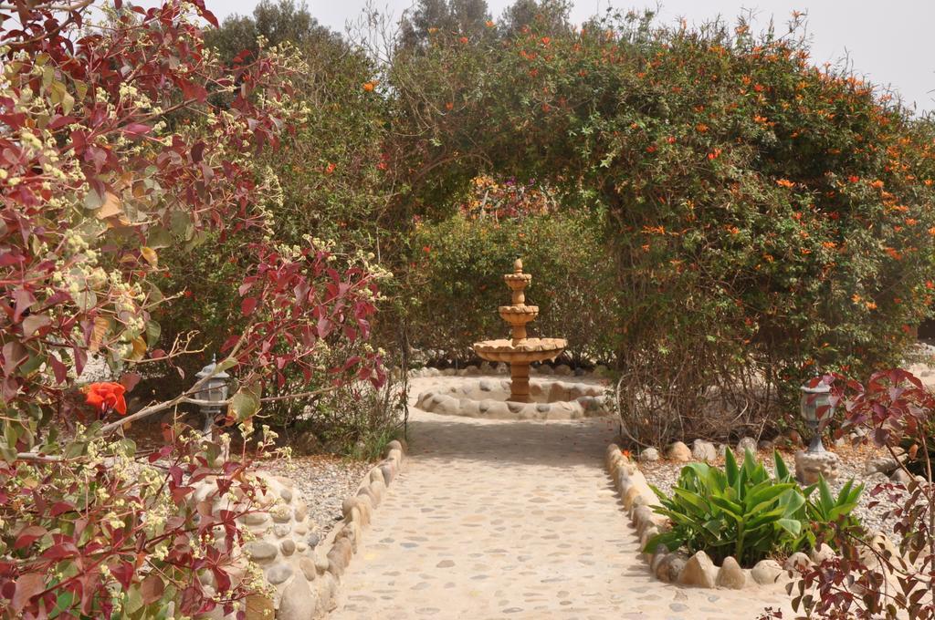 La Palmeraie De Massa Zaouit Massa المظهر الخارجي الصورة