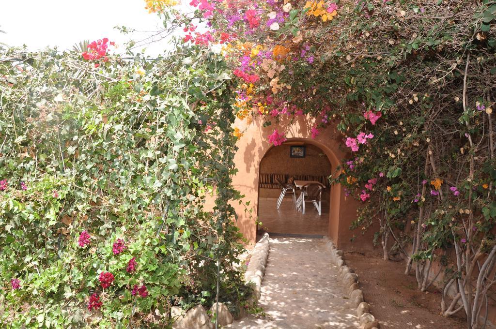 La Palmeraie De Massa Zaouit Massa المظهر الخارجي الصورة