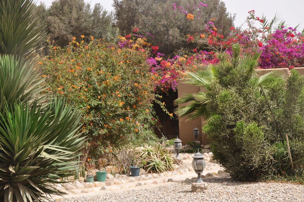 La Palmeraie De Massa Zaouit Massa المظهر الخارجي الصورة