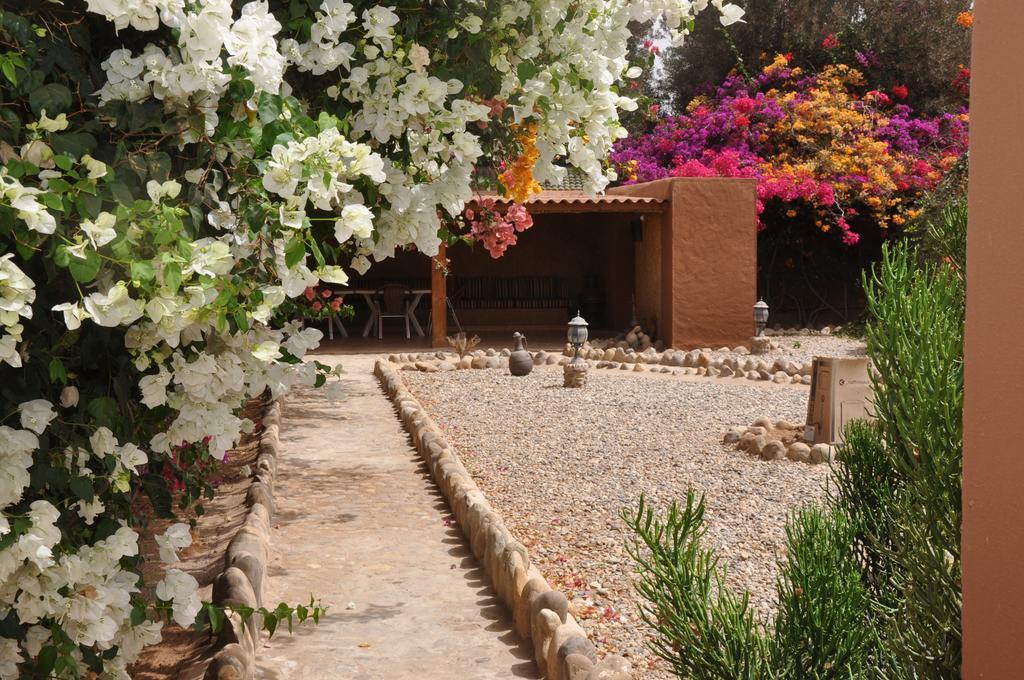 La Palmeraie De Massa Zaouit Massa المظهر الخارجي الصورة